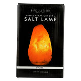 Natural Salt Lamp 1 Count By Evolution Salt