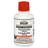 21st Century Glucosamine Chondroitin Liquid Triple Strength Raspberry Flavored 16 Oz By 21st Century